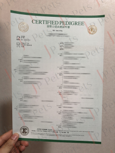 Boxer Certified Pedigree