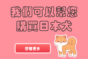 我們可以幫您購買日本犬