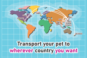 Transport your pet to wherever country you want