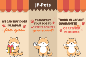 JP-Pets - We help you buy dog in Japan